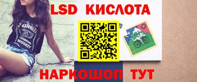 дмт Гай