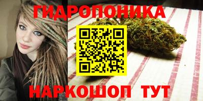 дмт Гай