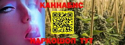 дмт Гай