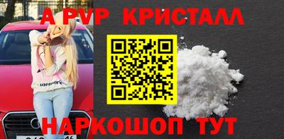 дмт Гай