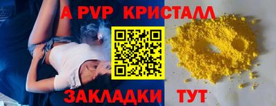 шишки Гатчина