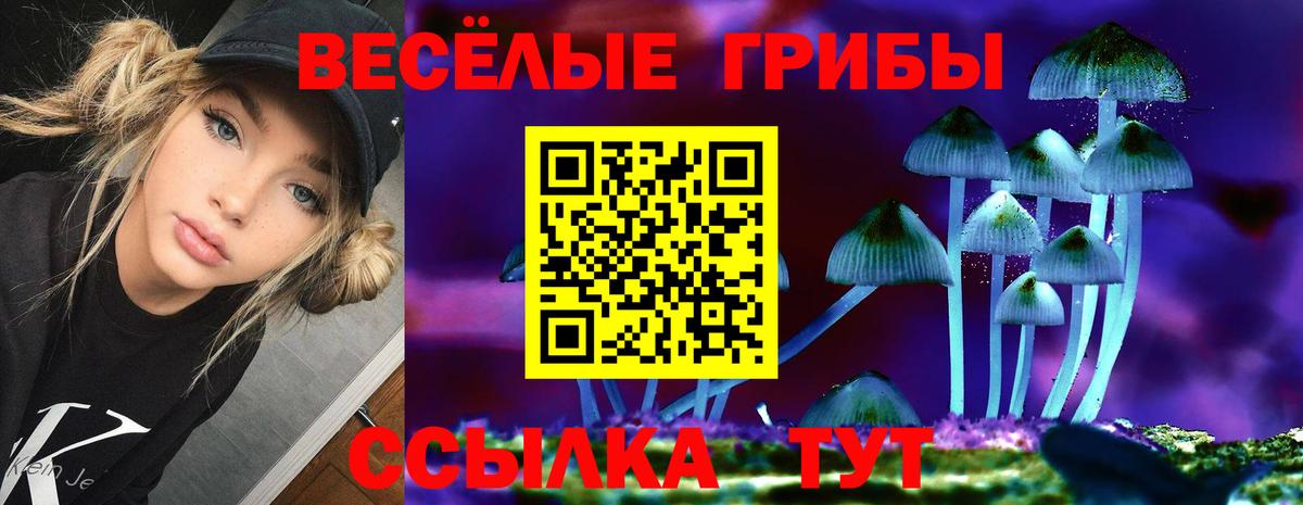 Галлюциногенные грибы ЛСД  наркошоп  Новозыбков  Вход с VPN 